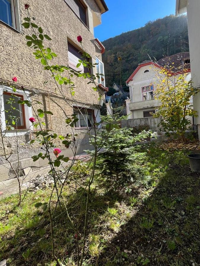 Tampa Residence Brasov Bagian luar foto