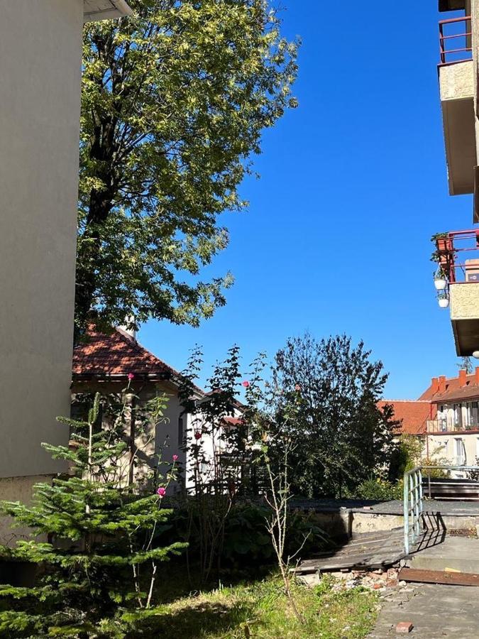 Tampa Residence Brasov Bagian luar foto